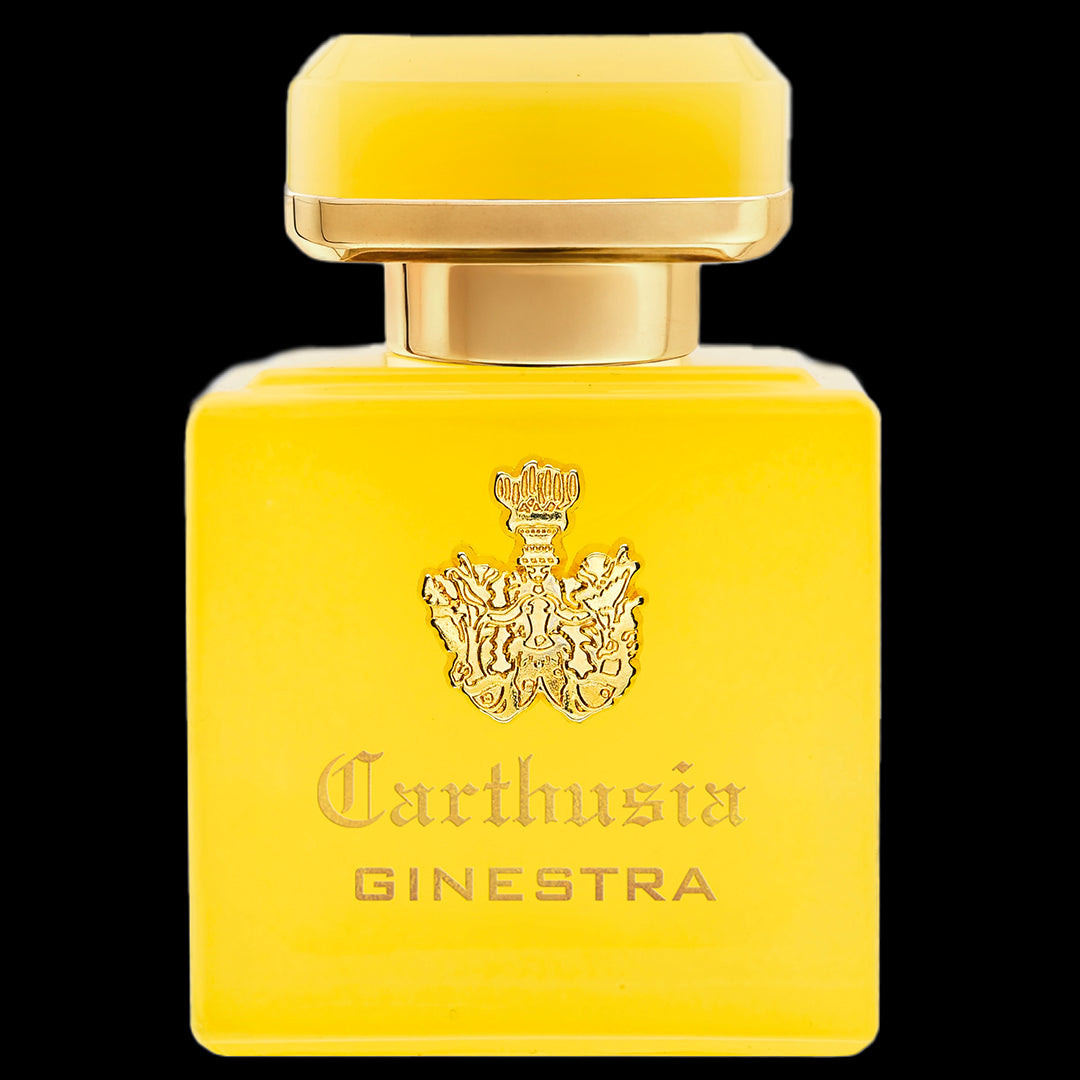 intenso di ginestra