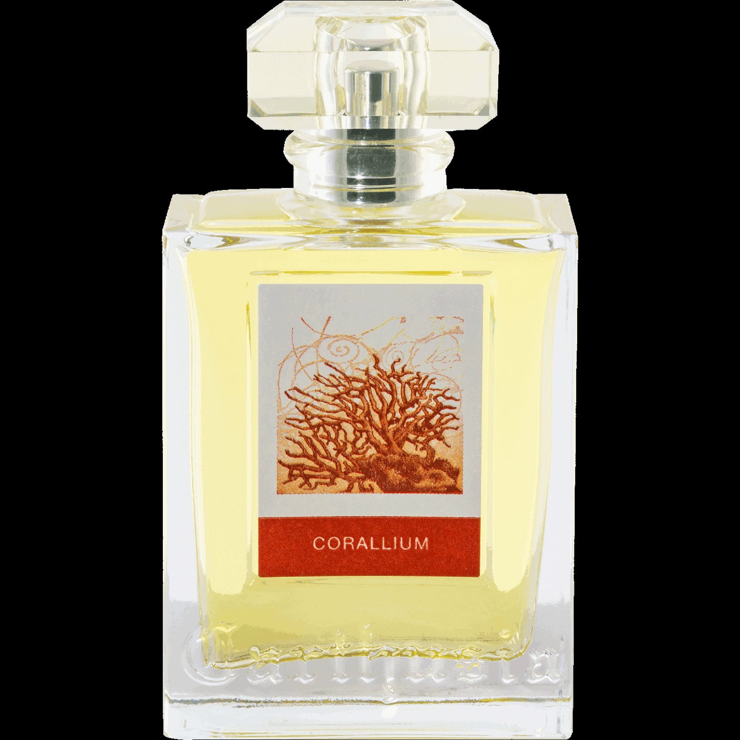 corallium
