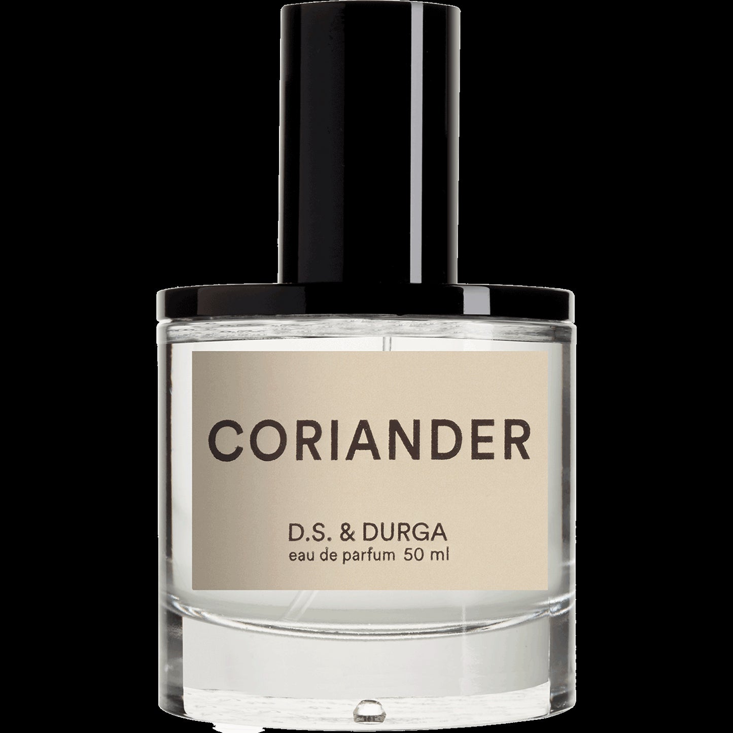 coriander